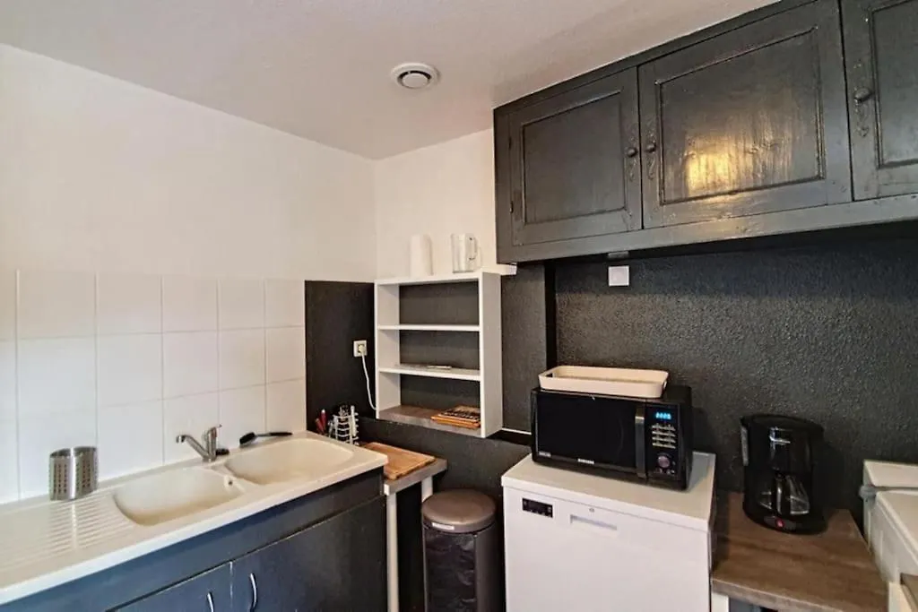 Le Locbesse Apartment Besse-et-Saint-Anastaise